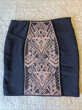 Tibi Pencil Skirt with Blush Embroidered Panel, ASO Serena Van Der Woodsen NWOT